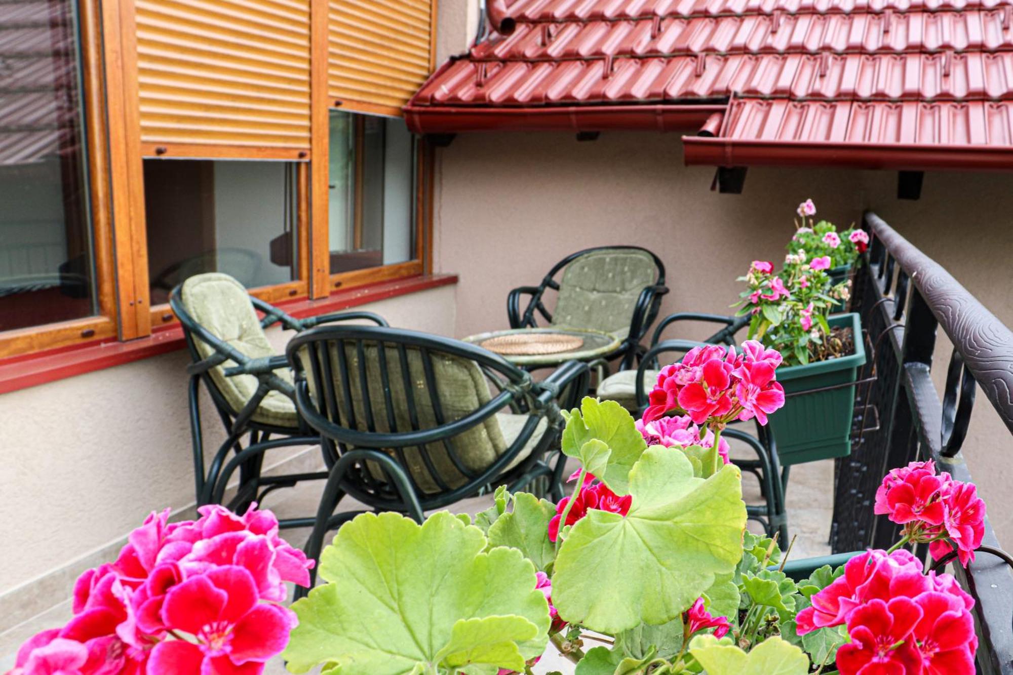 Sunset Home Vrsac Exterior foto